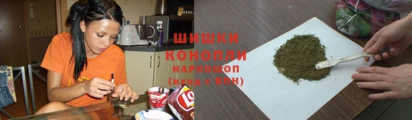 СК Шадринск