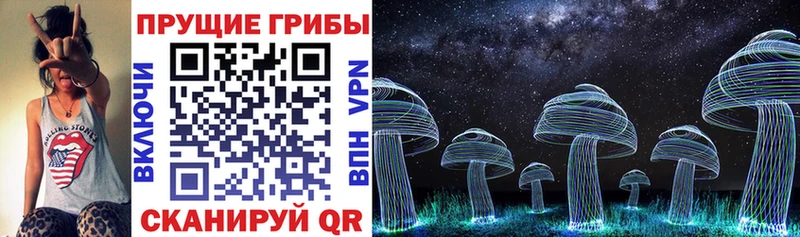 Псилоцибиновые грибы Magic Shrooms  Купить закладки  Мончегорск 